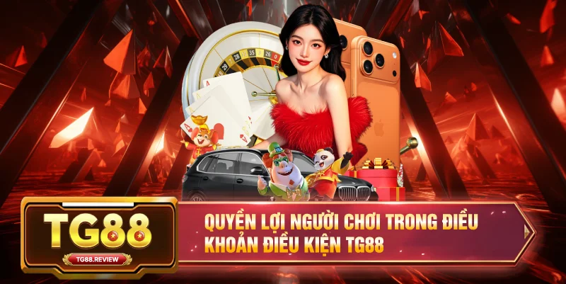Quyền lợi người chơi trong Điều khoản điều kiện TG88