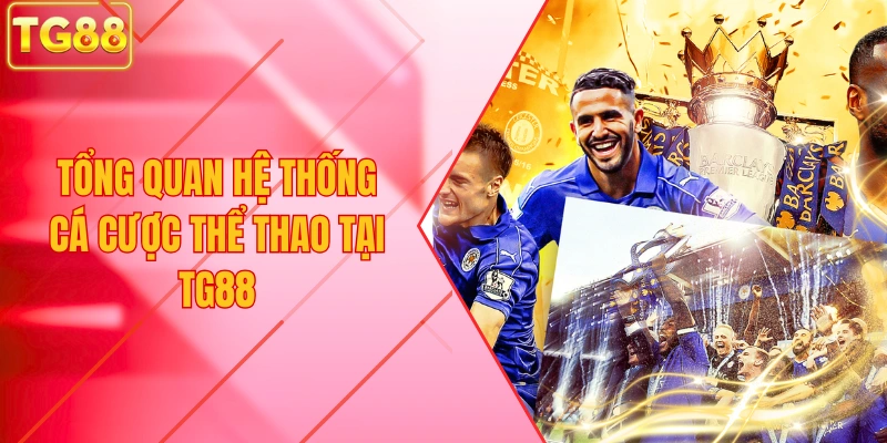 Tổng quan hệ thống Cá Cược Thể Thao Tại TG88