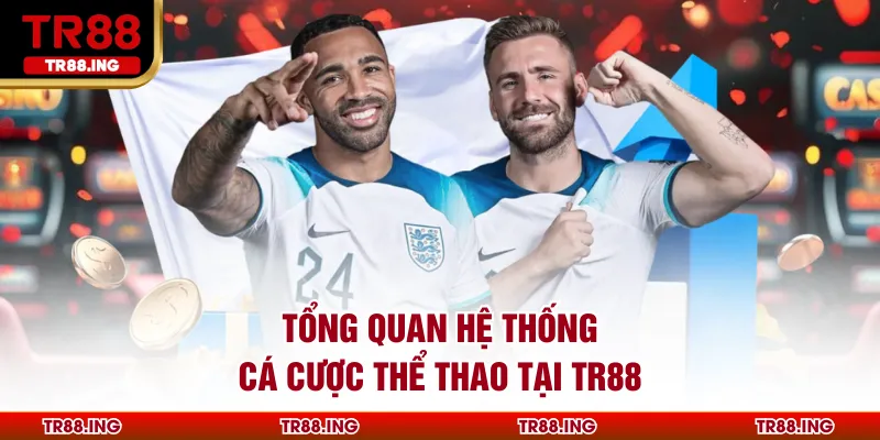 Tổng quan hệ thống Cá Cược Thể Thao Tại TR88