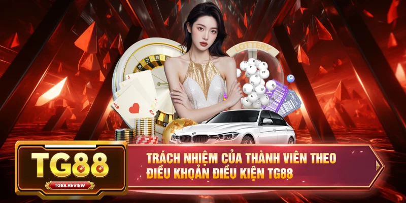Trách nhiệm của thành viên theo Điều khoản điều kiện TG88